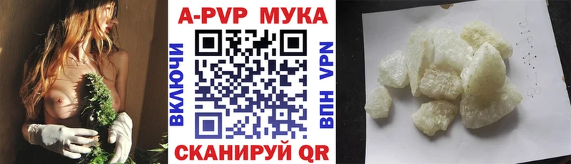 Купить где Балашов Alfa_PVP СК КРИС