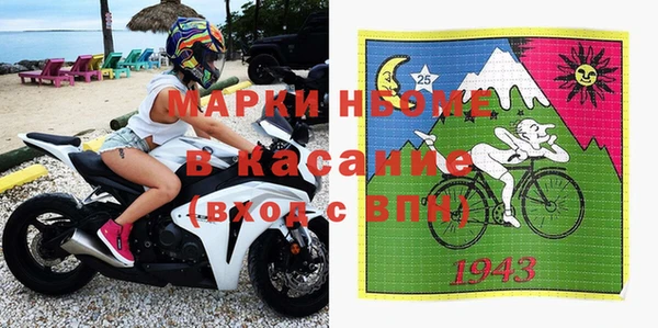 прущие грибы Вязьма