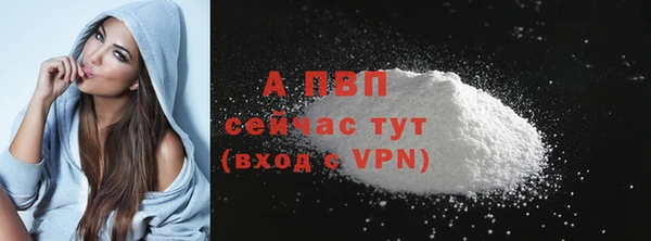 прущие грибы Вязьма