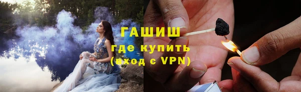 прущие грибы Вязьма