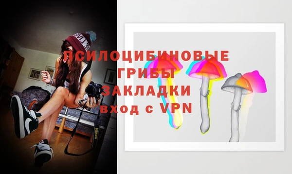 2c-b Вяземский