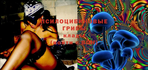 прущие грибы Вязьма