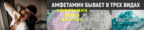 прущие грибы Вязьма
