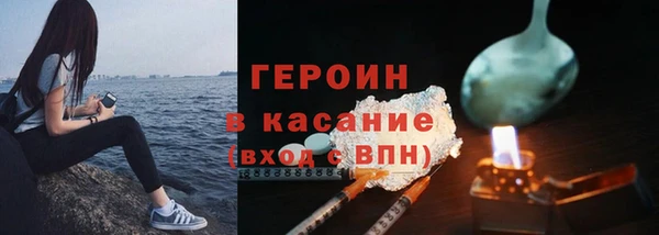 прущие грибы Вязьма