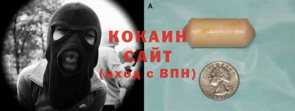 прущие грибы Вязьма