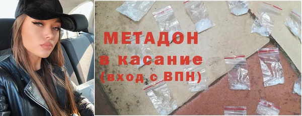 прущие грибы Вязьма